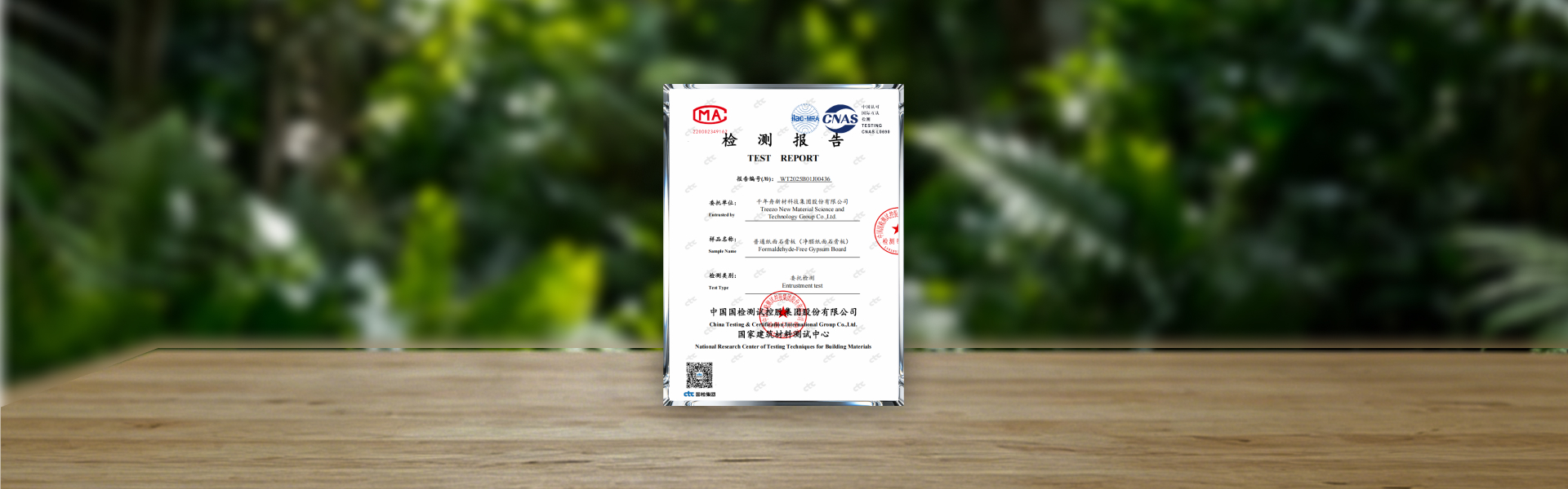 净醛纸面1.jpg