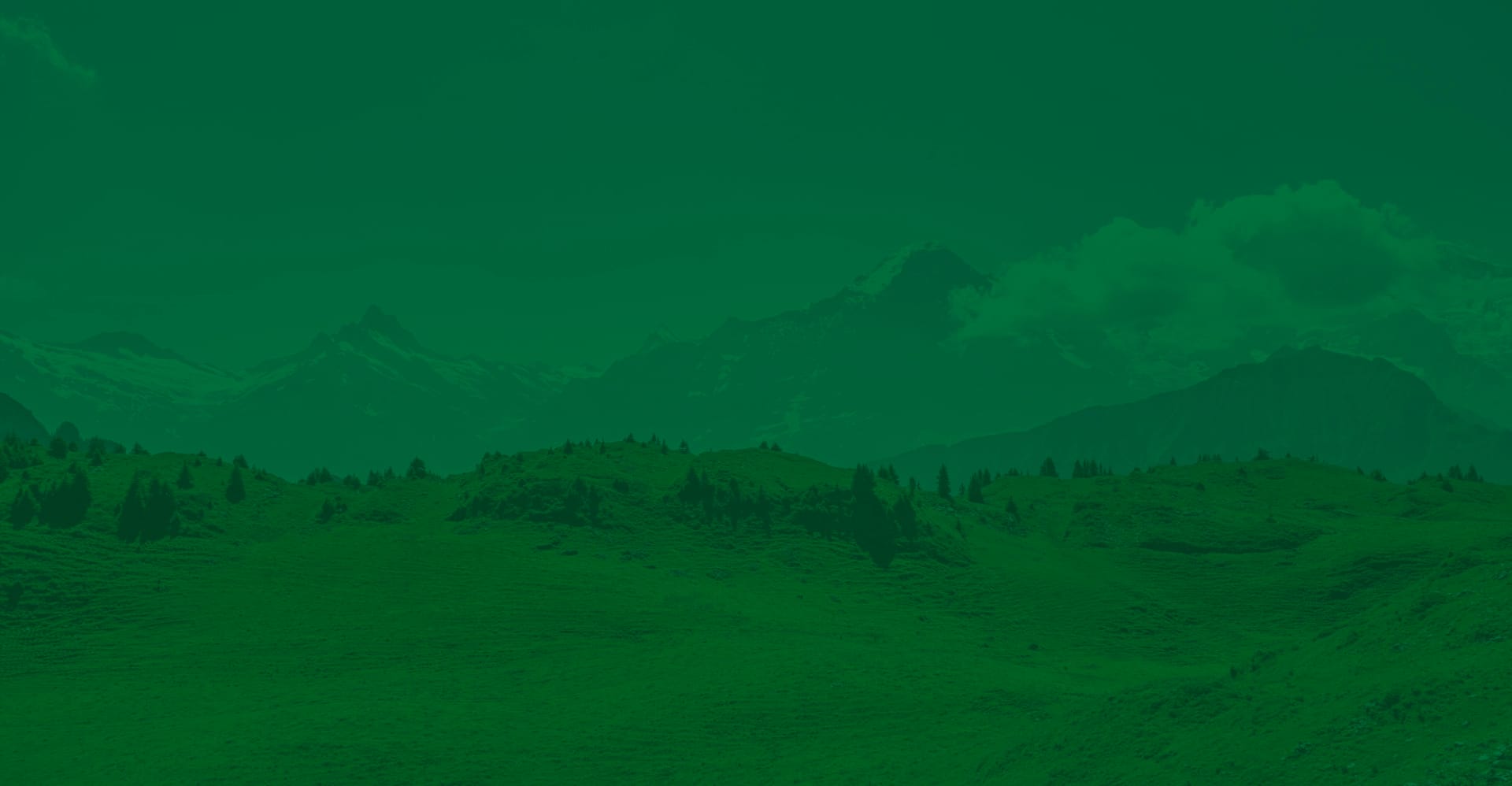d4_img05.jpg