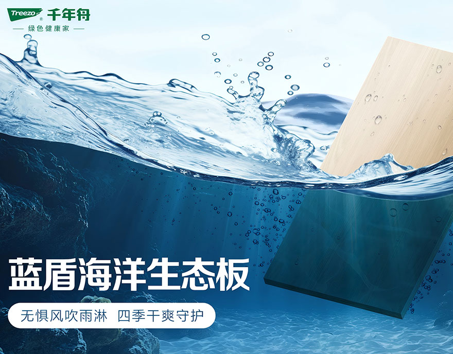 蓝盾轮1.jpg