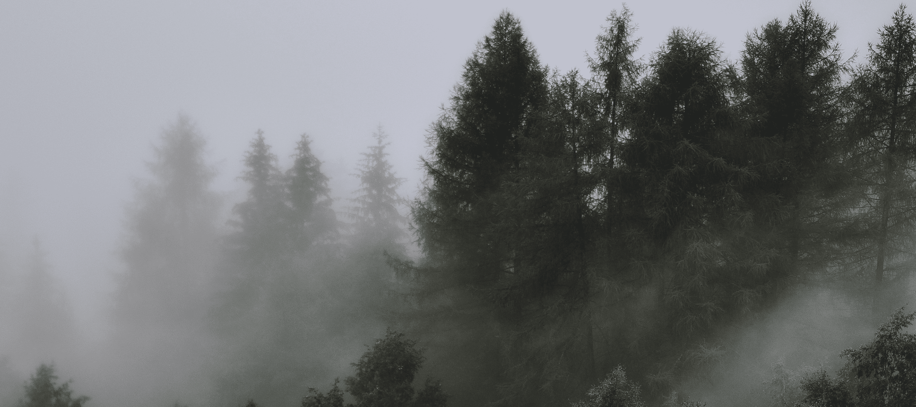 97220752-6adf-40e9-a9ec-658aced396f3.png