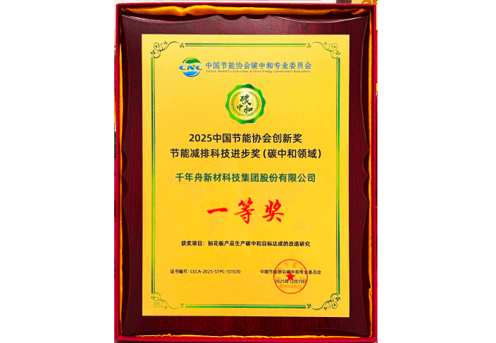 2025中国节能协会创新奖节能减排科技进步奖(碳中和领域) 一等奖.png