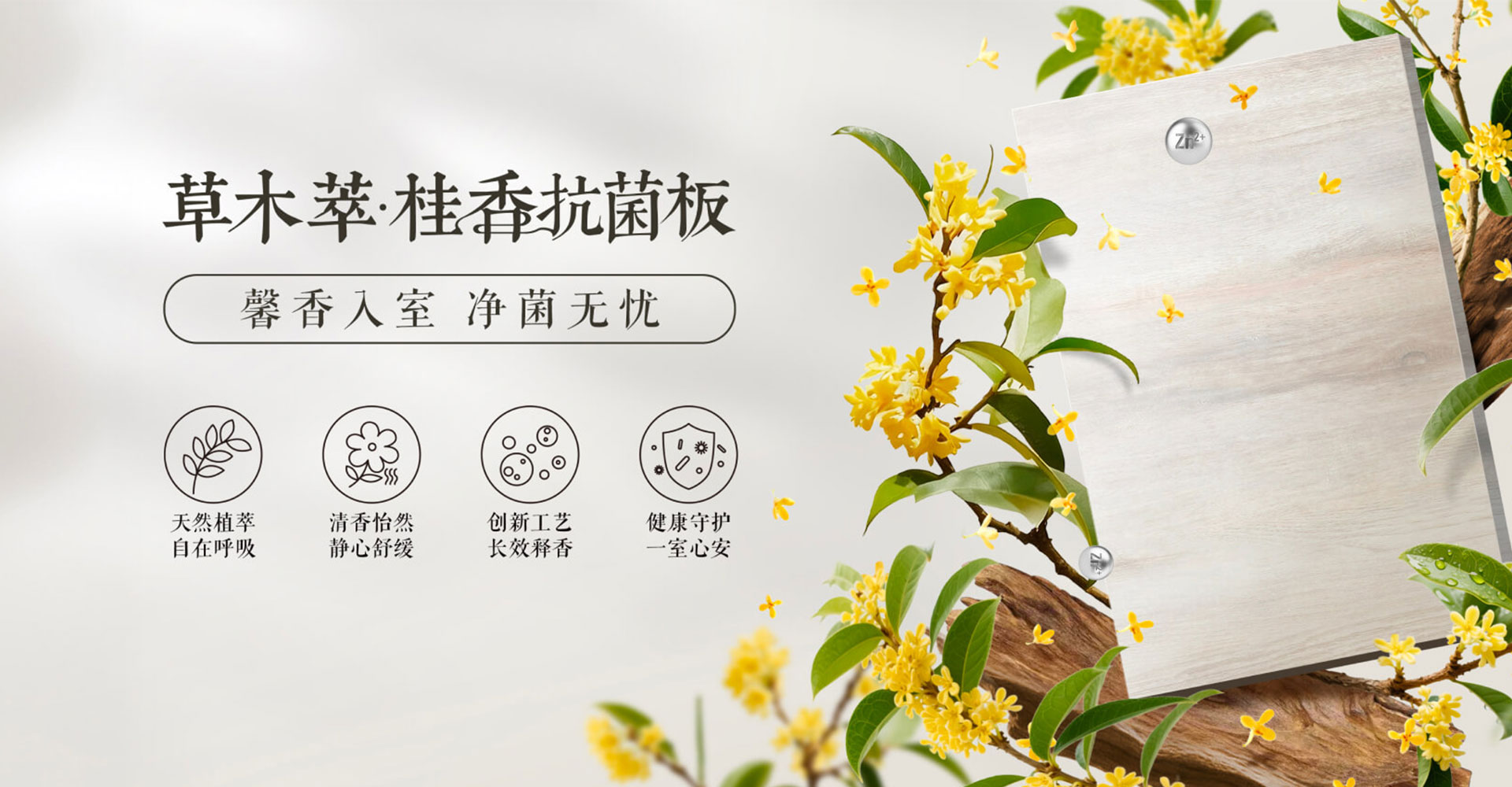 抗菌1.jpg